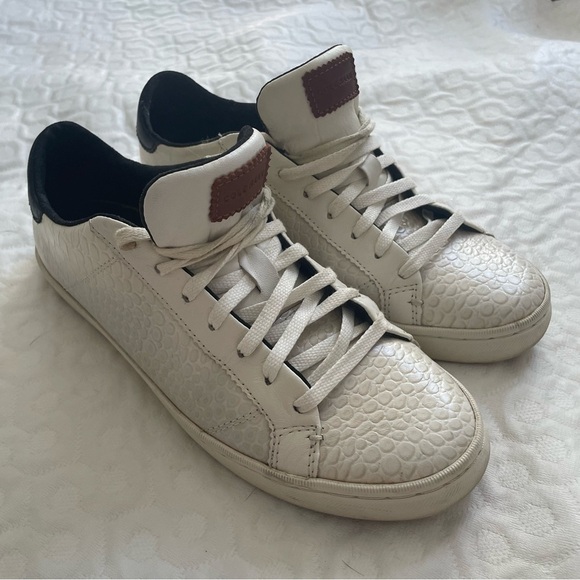 Cole Haan Women’s Size 8 B Mindi Lace-up Sneaker In Ivry Ebsed Snakeskin Design - Picture 1 of 10